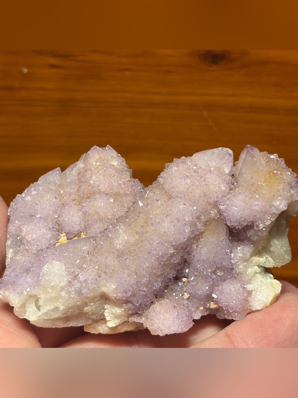 Cactus / spirit quartz crystal specimen